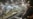 Kyrgyz Gold Mine Shut Down