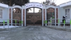 زندگی حیوانات باغ وحش کابل چگونه می‌گذرد؟