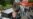 Democracy Survey Faults Russia, Tajikistan, Iran