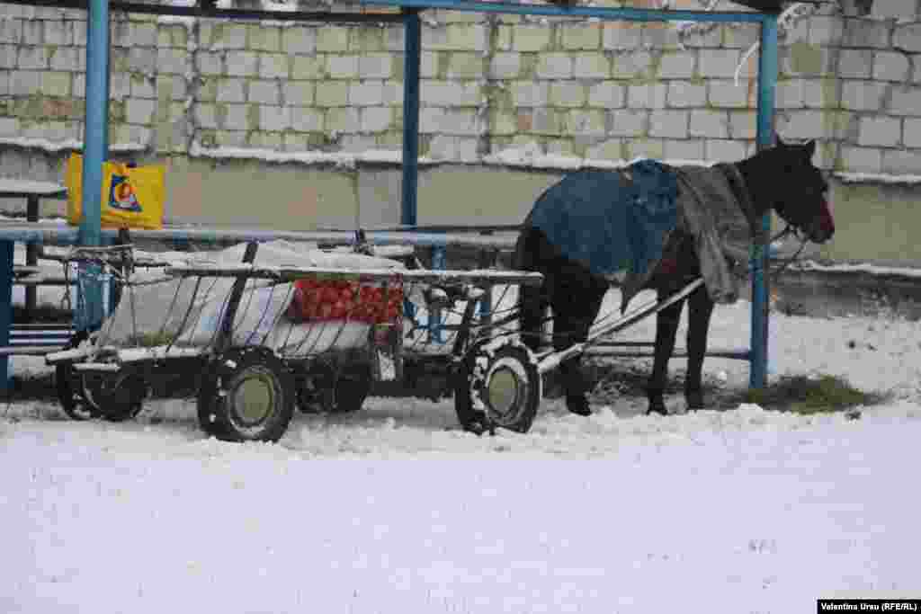 Moldova - people and places in Ciuciuleni, H&#226;ncești