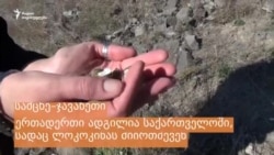 ლოკოკინა – მესხური დელიკატესი