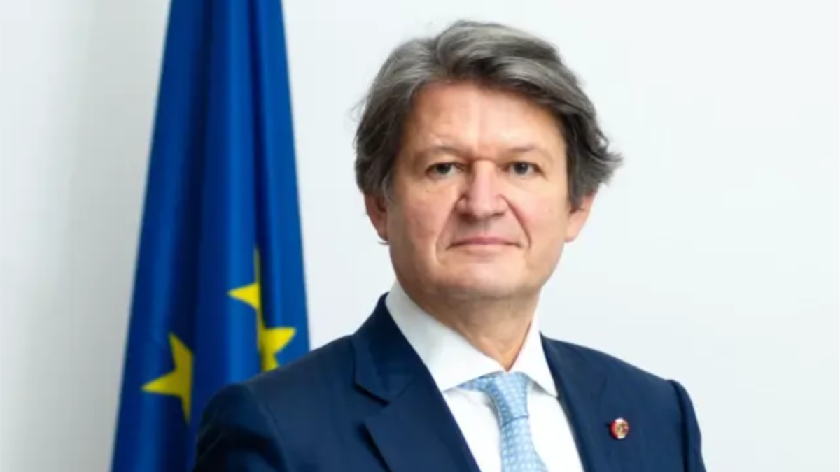 ევროპარლამენტარი:დემოკრატიულ ქვეყნებში პოლიტიკურ ოპონენტებს არ აპატიმრებენ და არ ავიწროებენ