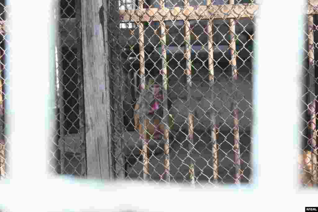 “Ошиқон”-и ҳайвонот #24