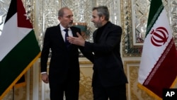 Iranian acting Foreign Minister Ali Baqeri Kani (right) welcomes Jordanian Foreign Minister Ayman Safadi in Tehran on August 4. 