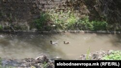 Илустрација, архивска фотографија од течението на реката Лепенец 