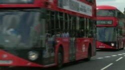 Великобритания голосует «за» и «против» выхода из ЕС (видео)