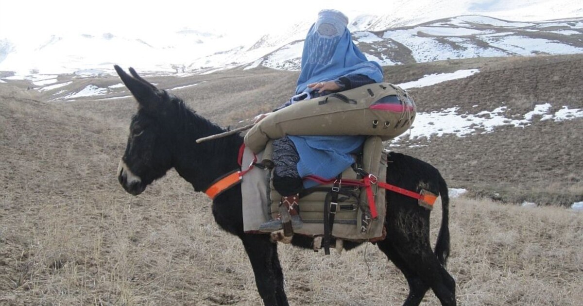 Наташа Королеваның жалаңаш фотосуреттері