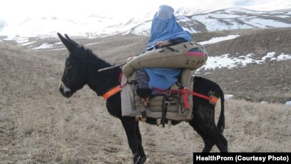 Жуылмаған пенис фотосы