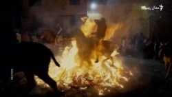 هسپانیه کې اسونه د اور له لمبو څخه ولې تېرول کېږي؟