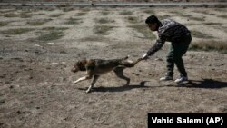 عکس آرشیوی است