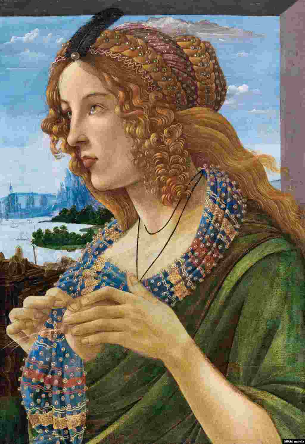 Simonetta Vespucci (?), (Colecție privată)