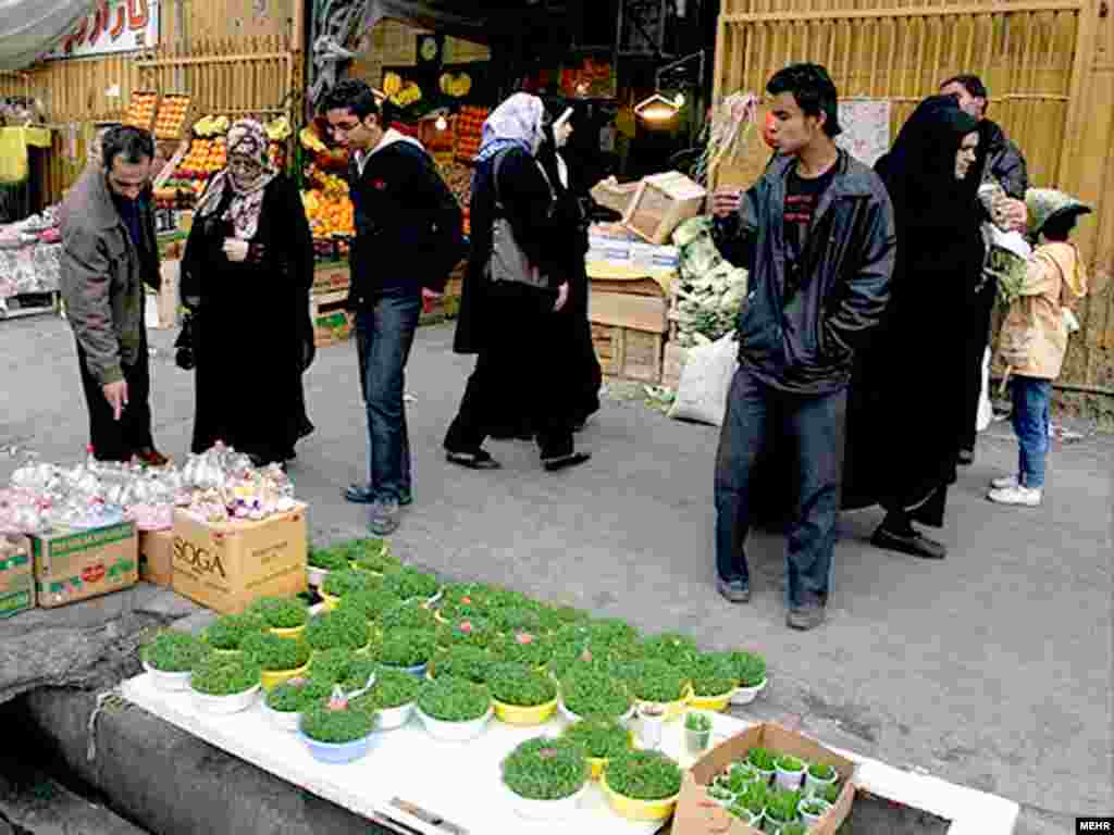 سبزه عید، بازار گل تهران. عکس از مهر