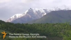 Шайн кегийрхой Шема леларна синтем байна пIаьнгазхойн