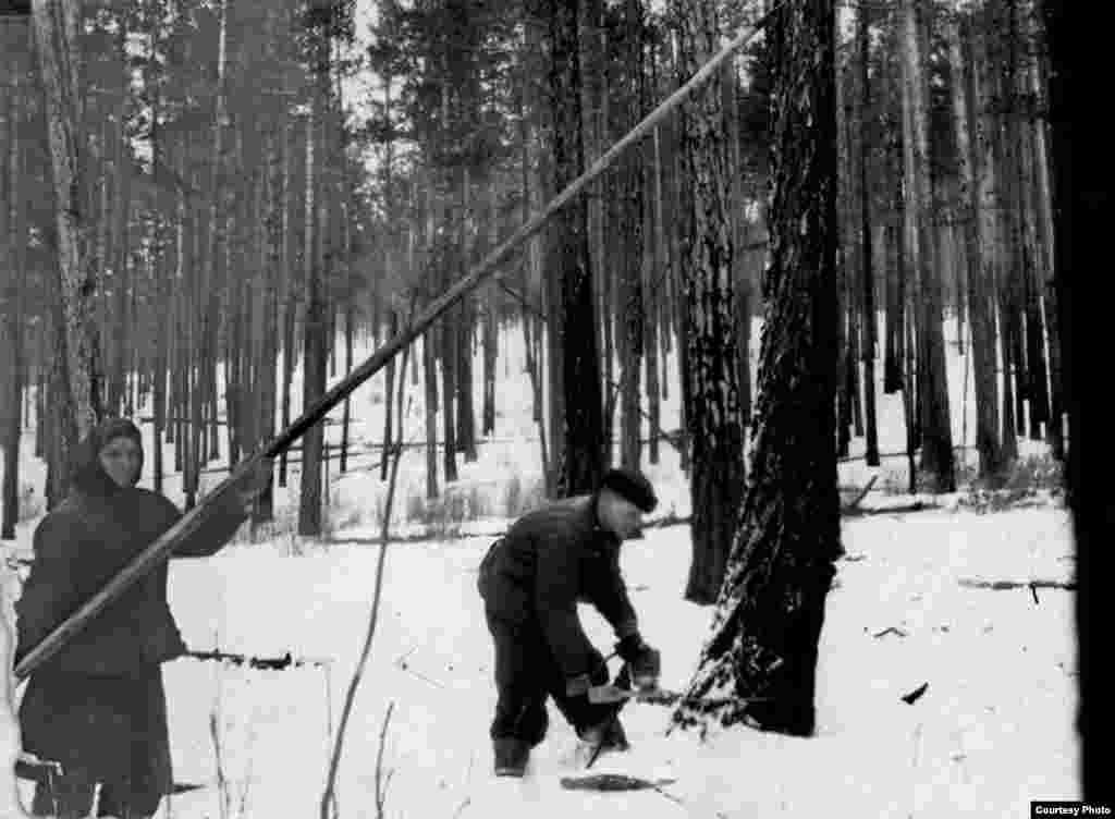 Moldoveni deportați de sovietici în 1941 - Din albumul Elenei Șișcan
