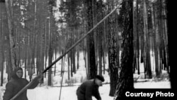 Moldoveni deportați la Vioar, în Siberia în 1941, Vioar. Din albumul Elenei Siscan.