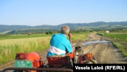 Serbia - Agriculture in Vojvodina, undated, generic