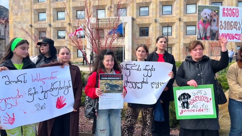 სად გადაგყავთ ძაღლები? - ცხოველთა უფლებადამცველების აქცია მთავრობით კანცელარიასთან