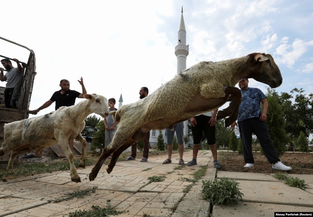 20 июля, Саки. Крымские татары, исповедующие ислам, готовятся к жертвоприношению в Курбан-байрам