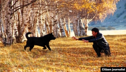 Жас жұбайлар свингерлер топтық секс алдау порно онлайн