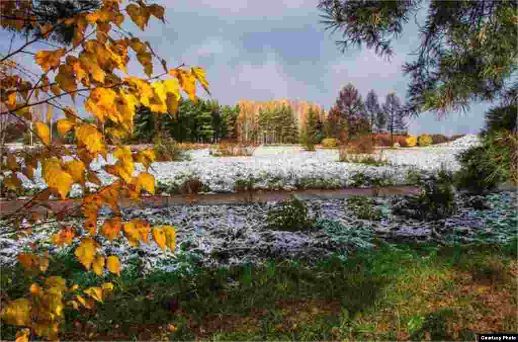 &nbsp;Саргайган жалбырактар, Агарган ак булуттар. Кусалуу күздү таштап, Баратат каркыралар. (Рыспай Дүйшеев)