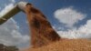 Analysts foresee Ukraine's grain output declining by more than half year-on-year in 2022. 