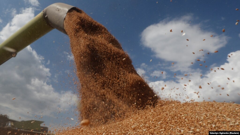 Analysts foresee Ukraine's grain output declining by more than half year-on-year in 2022. 