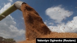 Analysts foresee Ukraine's grain output declining by more than half year-on-year in 2022. 