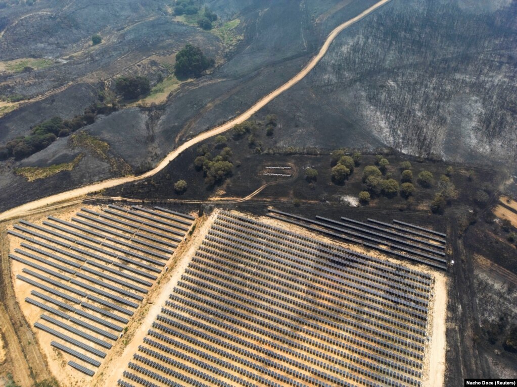 Një pamje nga droni që shfaq një fermë diellore të rrethuar nga pemët, e djegur nga një zjarr i egër në Vilardevos, afër Verinit, në Galici të Spanjës, më 16 gusht.