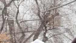 Асанәлі Әшімовпен қоштасу