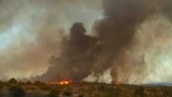 Wind-Fanned Wildfires Scorch Vast Areas In North Macedonia