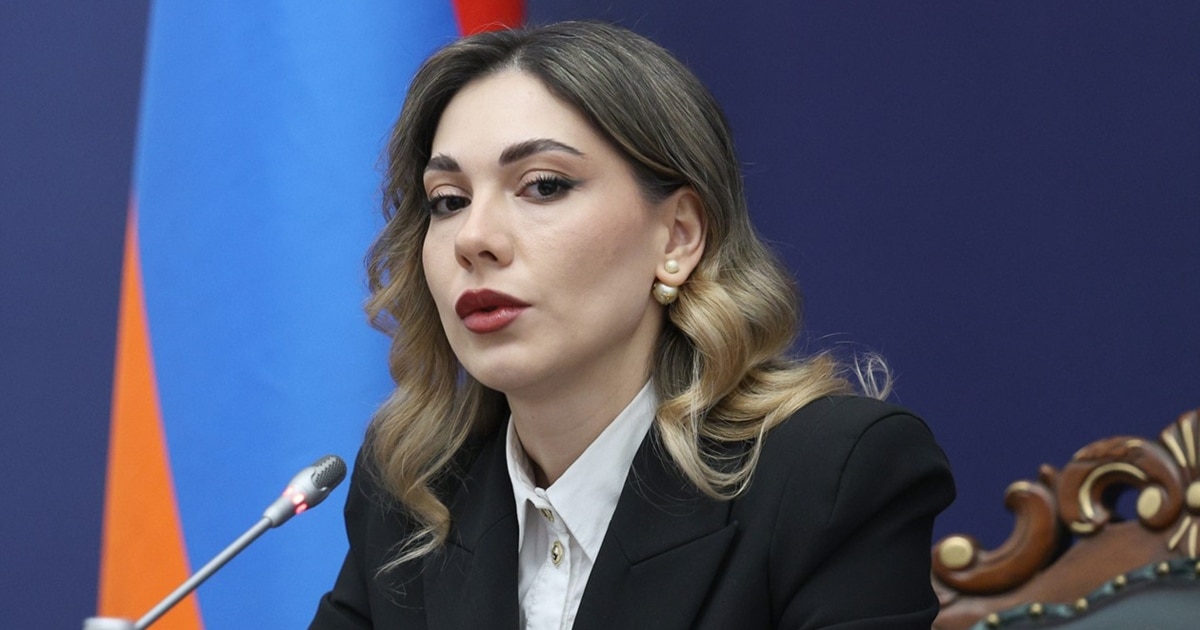 Armenian Minister Vague On Declaration Reference In Draft Constitution