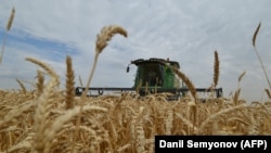 RUSSIA -- Farmers use a combine harvester as they harvest a wheat field in the southern Russian region of Stavropol, July 9, 2014