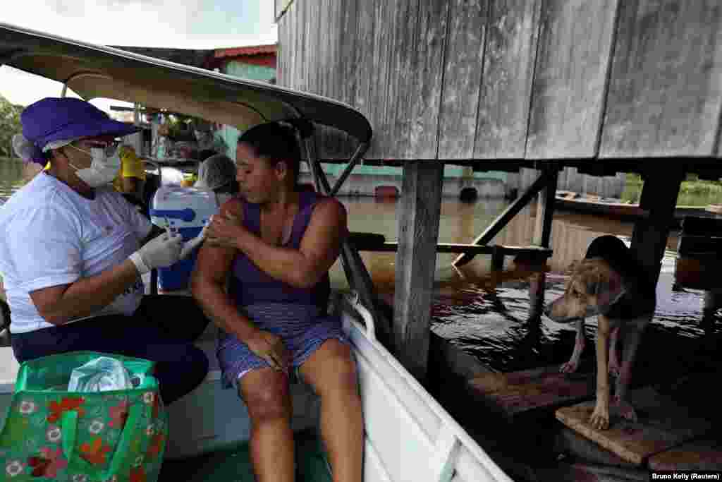 NË LUMË - Marair Queiroz merr vaksinën e Oxford/AstraZeneca kundër COVID-19 nga punonjësja shëndetësore Neuda Sousa, gjatë një përmbytjeje të shkaktuar nga ngritja e Lumit Solimoes, njëri prej dy degëve kryesore të Lumit të Amazonës, në Anama, shteti i Amazonës, Brazil, më 14 maj 2021.