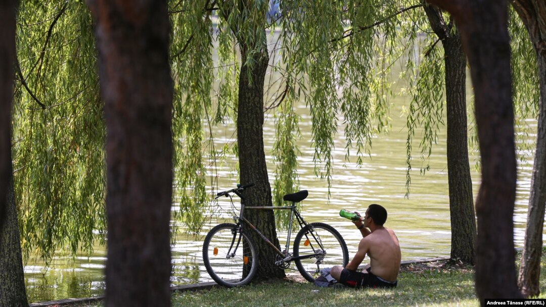 În imagine, un tânăr se protejează de razele solare, la umbră, lângă lacul Alexandru Ioan Cuza din București.