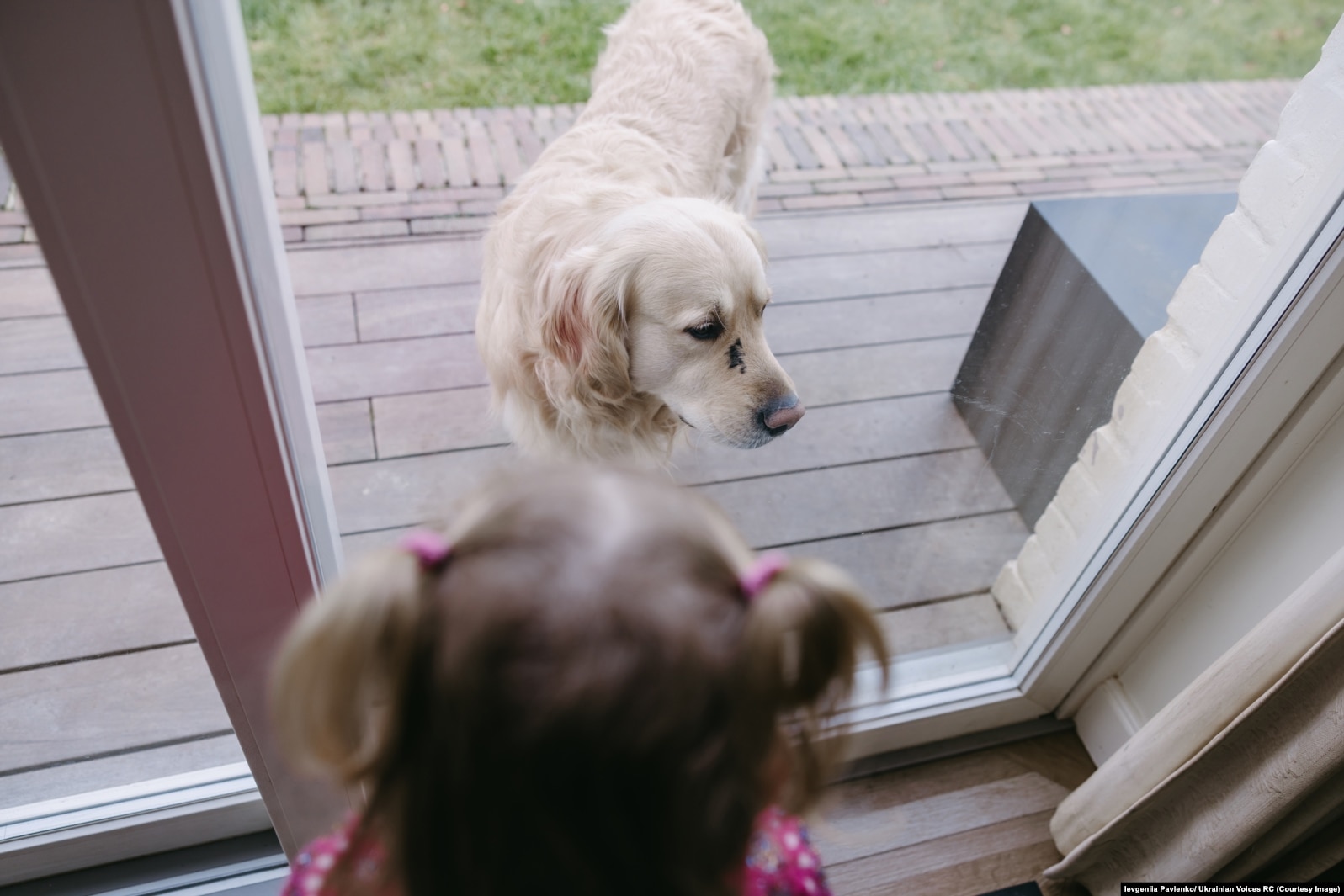Дівчинка грається із собакою