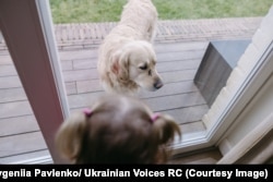 Дівчинка грається із собакою