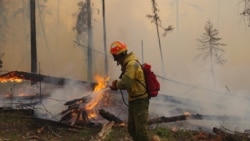 Лесные пожары в национальном парке "Ленские столбы", архивное фото