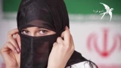 از «پرستو»ها چه می‌دانیم؟