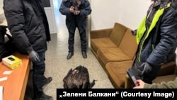 Екип на „Зелени Балкани“ и служители на полицията заснемат една от мъртвите птици