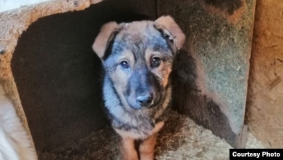 Жалаңаш қыздар порно жалаңаш бөкселер