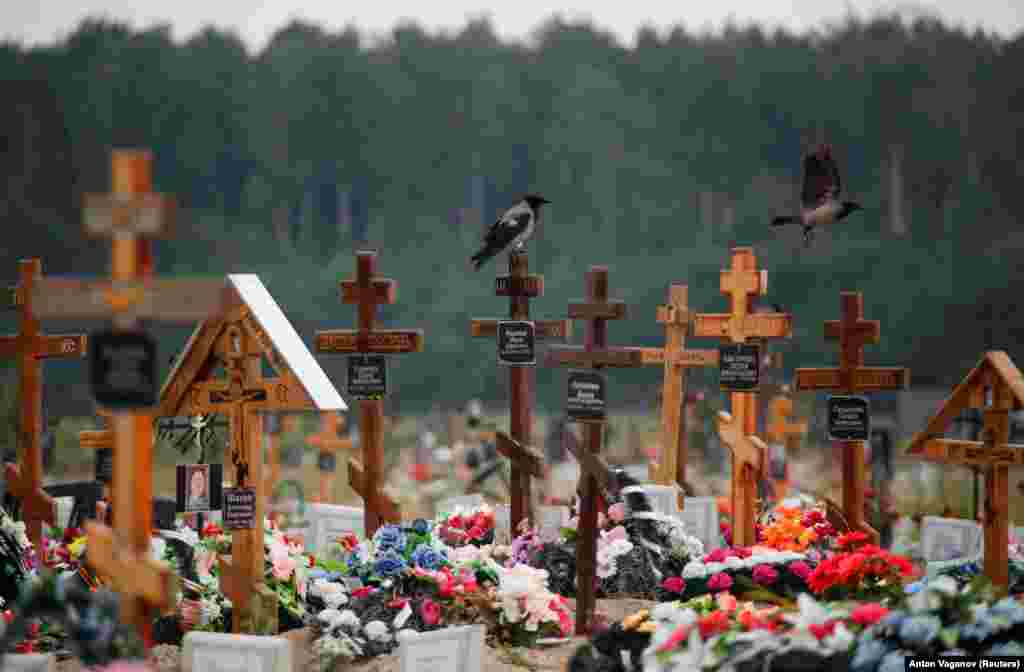 Birds come to rest at a special-purpose section of a graveyard for victims of COVID-19 on the outskirts of St. Petersburg, Russia, on June 25.&nbsp;