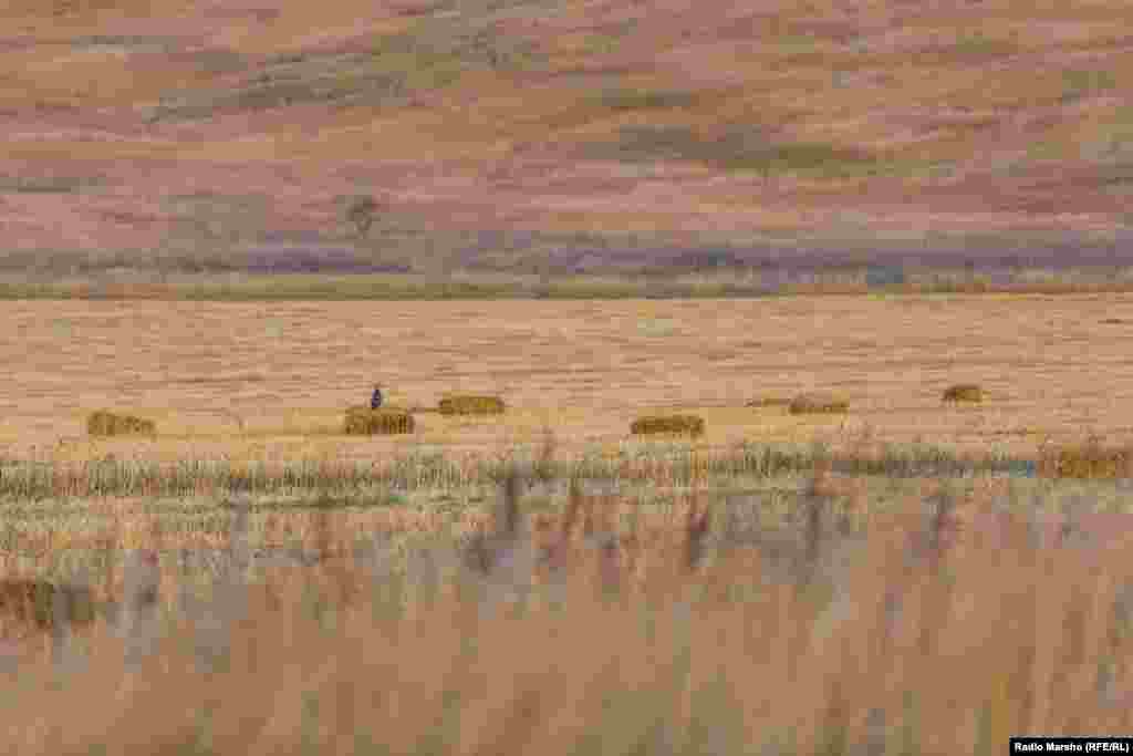 Nature in Chechnya, 2015