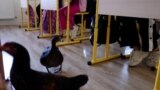 Romanian chicken and duck help teach kids to be kind, REUTERS