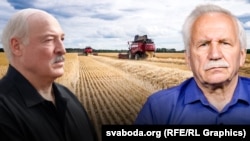 Ілюстрацыйны каляж: Аляксандар Лукашэнка, Валер Карбалевіч