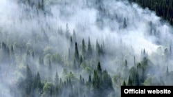 Лесные пожары в Сибири, архивное фото