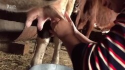 Südçü: 'Xeyir etməsəydi, bu işlə məşğul olmazdıq'