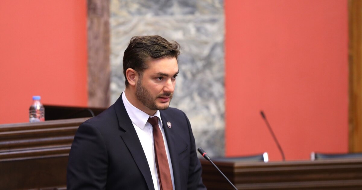 „ოცნების“ დეპუტატმა თურნავამ 47 312-ევროიანი საათი იყიდა 2023 წელს - დეკლარაცია