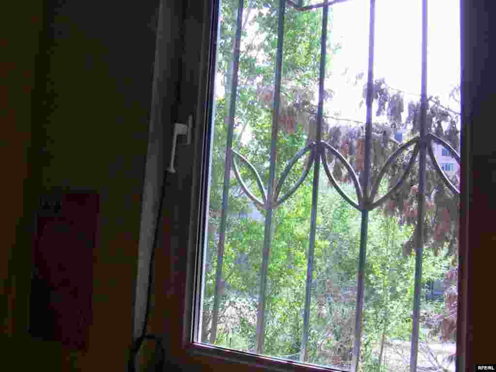 "Siyasət şəkilləri" #33