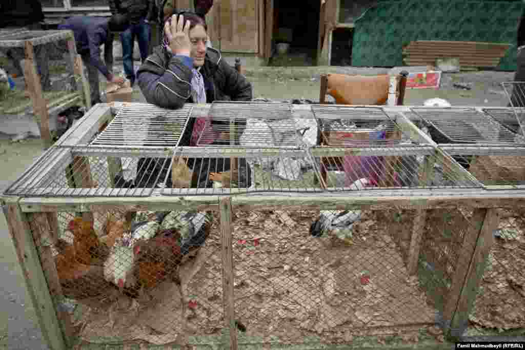 "Uzun illərdir toyuq-cücə alverini edirəm. Bərəkət elə toyuq cücədədir - yumurtası, tükü, əti...(gülür) diri-diri də satıram..."