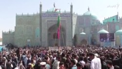 نور د کال په پيل کې د کابل او بلخ د شخړې د پای په اړه خبرې وکړې